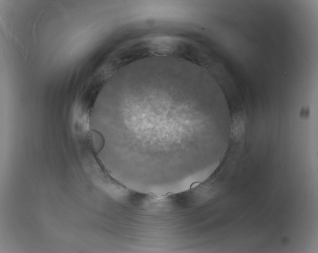 X0000112150431200909041108