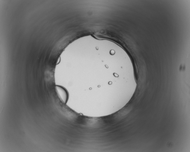 X0000112150432200909041108