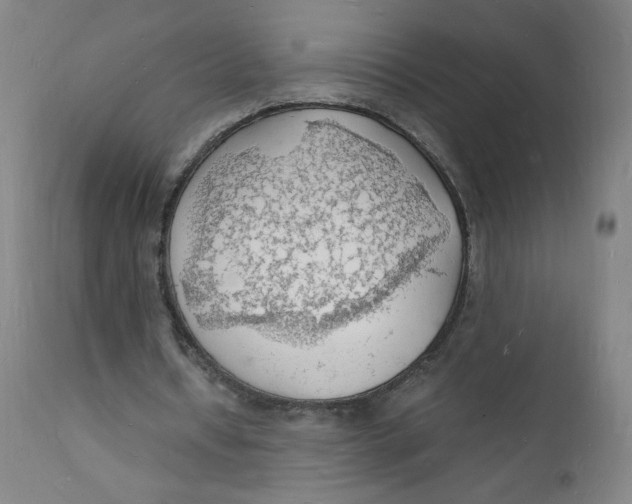 X0000112150434200909041107