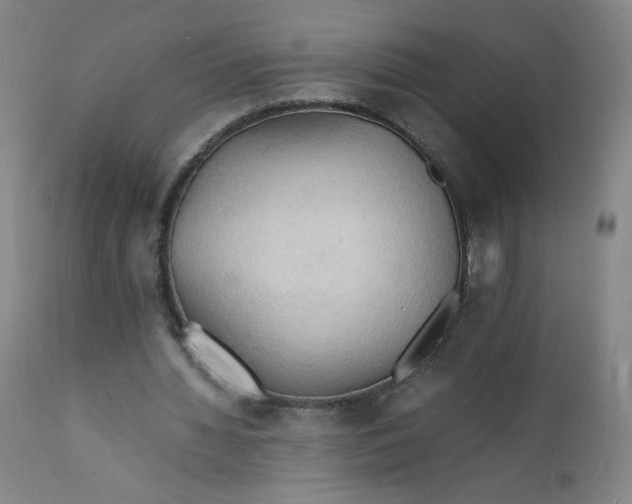 X0000112150436200909041107