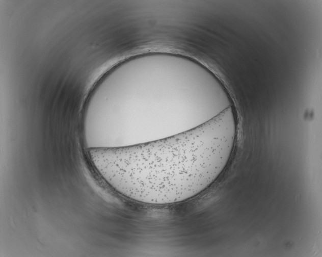 X0000112150438200909041107