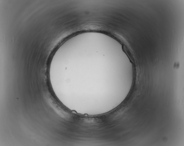 X0000112150439200909041107