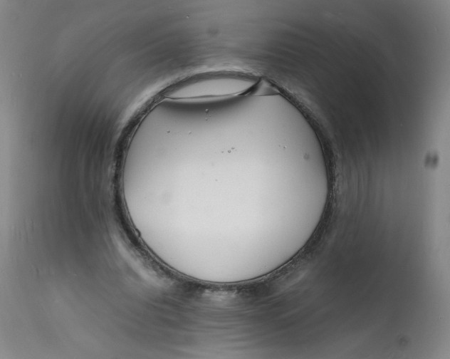 X0000112150440200909041107