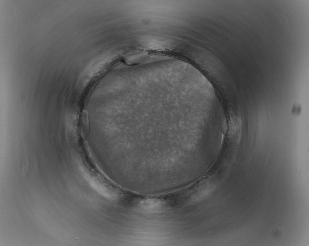 X0000112150444200909041107