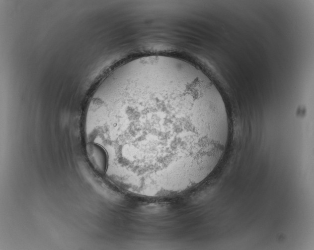 X0000112150447200909041107