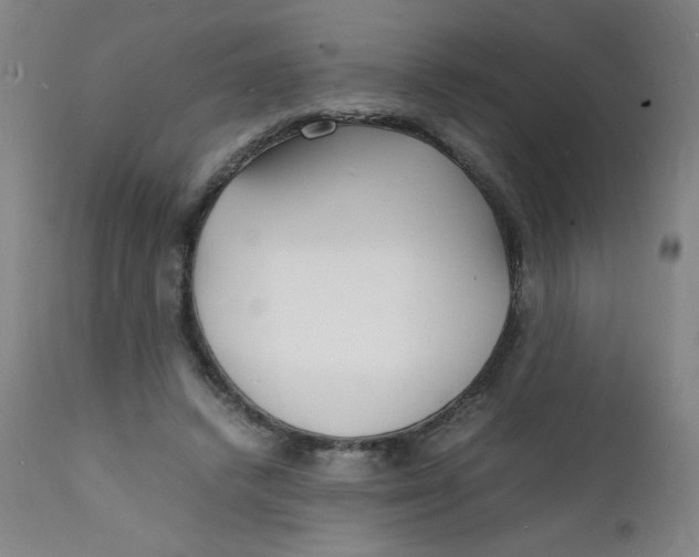 X0000112150448200909041107