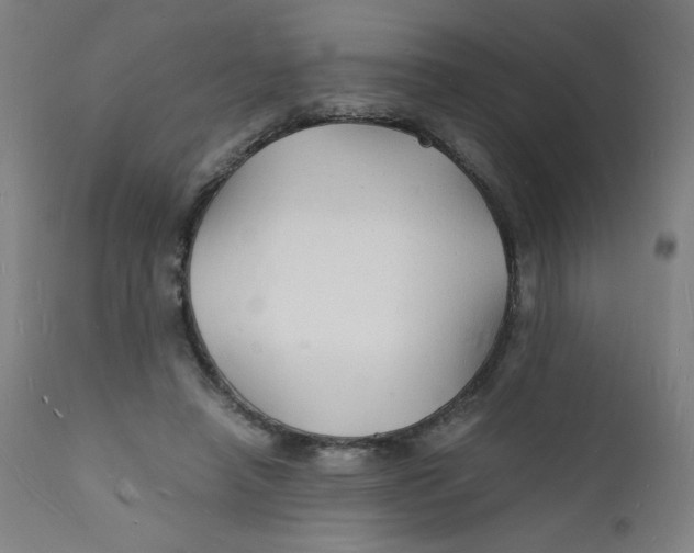 X0000112150450200909041107