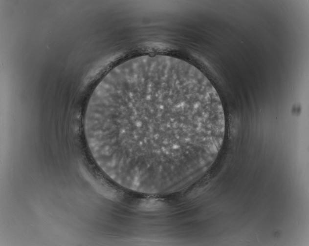 X0000112150451200909041107