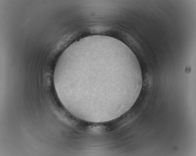 X0000112150452200909041107