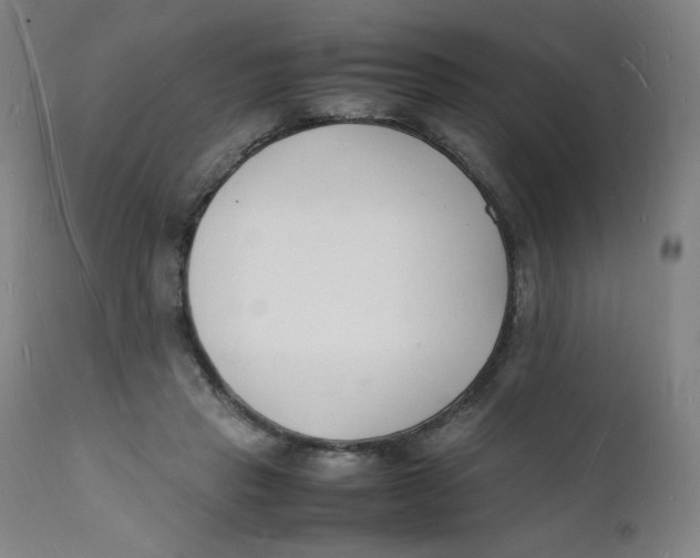 X0000112150453200909041107