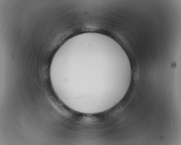 X0000112150455200909041107