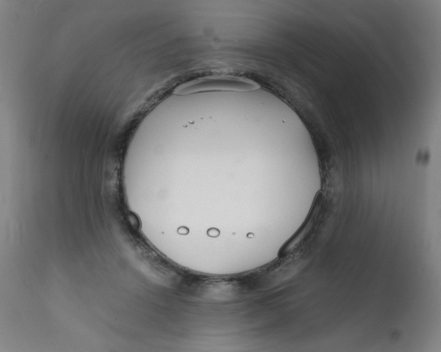 X0000112150456200909041107