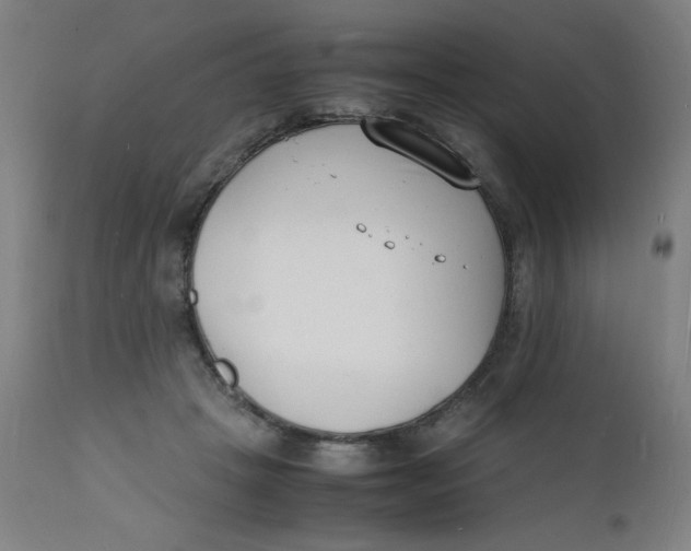 X0000112150457200909041107