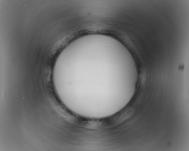 X0000112150458200909041107