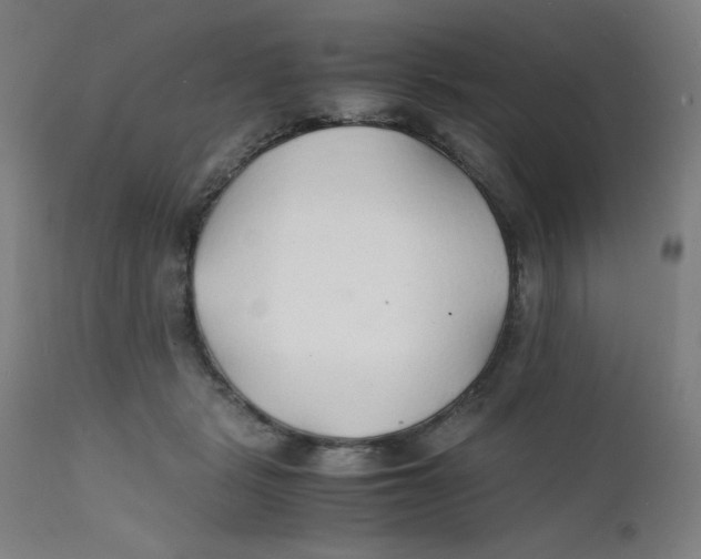 X0000112150461200909041107