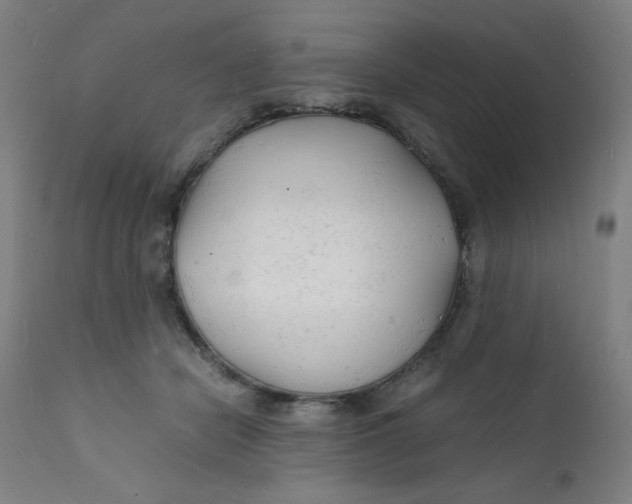 X0000112150462200909041107