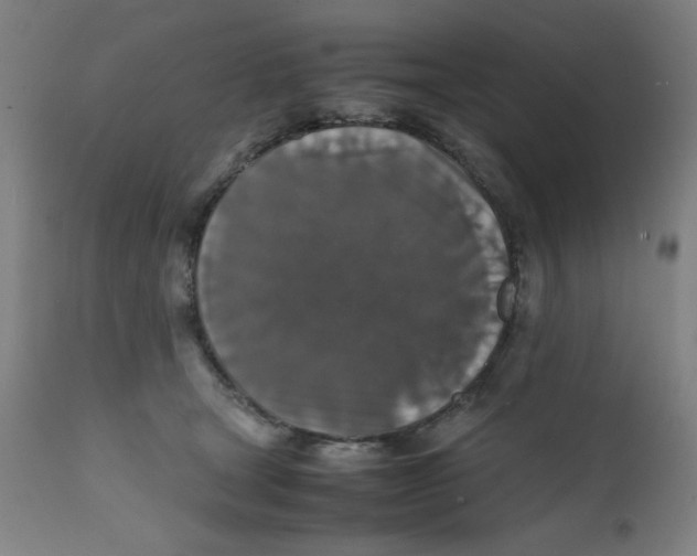 X0000112150465200909041108