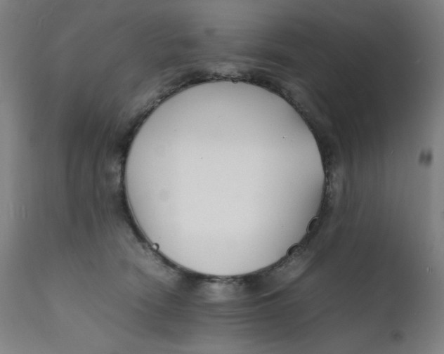 X0000112150466200909041108