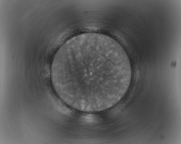 X0000112150467200909041108