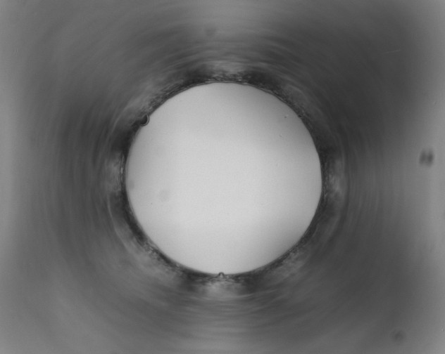 X0000112150468200909041108