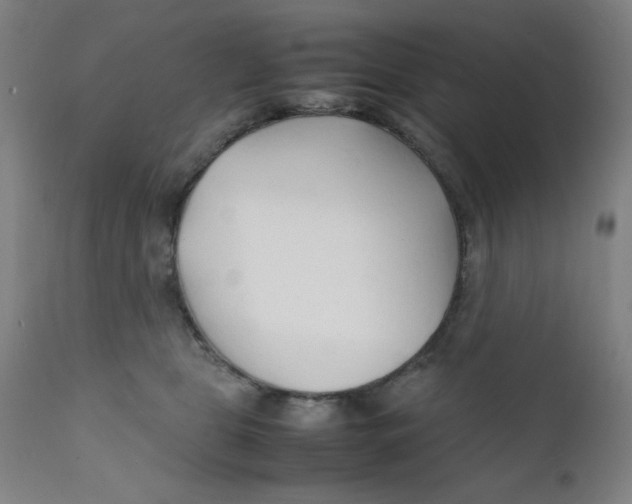 X0000112150469200909041108