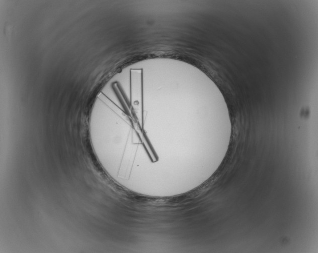 X0000112150470200909041108