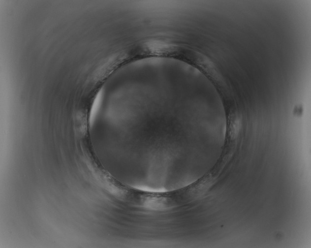 X0000112150471200909041108