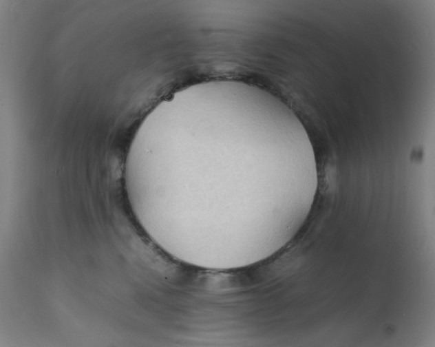 X0000112150472200909041108