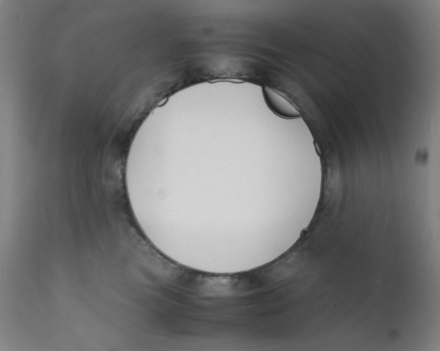 X0000112150473200909041108