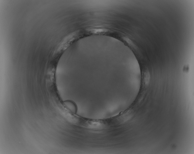 X0000112150475200909041108