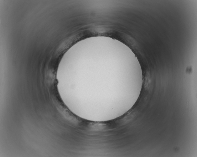 X0000112150476200909041108