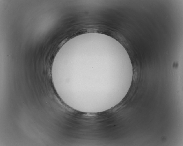 X0000112150477200909041108