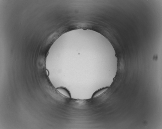 X0000112150478200909041108