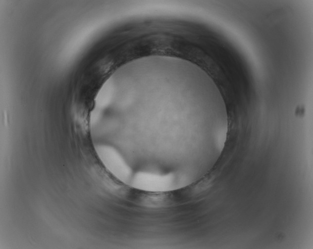 X0000112150479200909041108