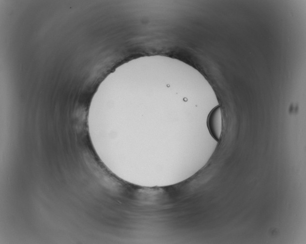 X0000112150480200909041108