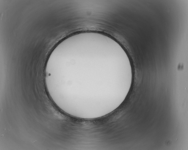 X0000112150481200909041107