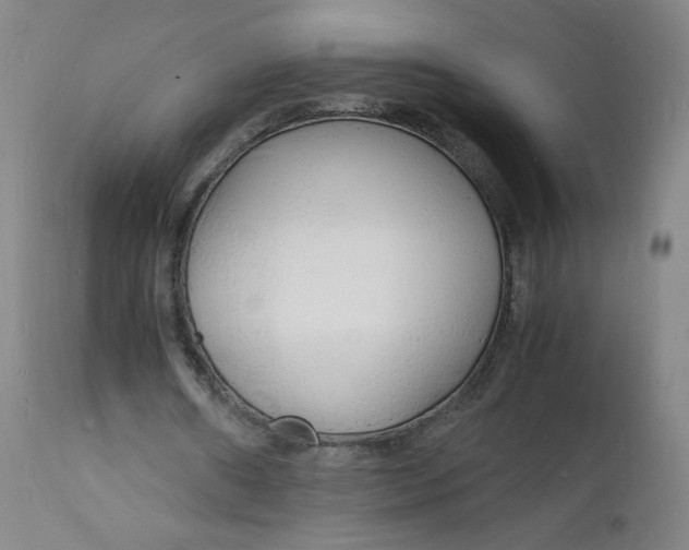 X0000112150482200909041107