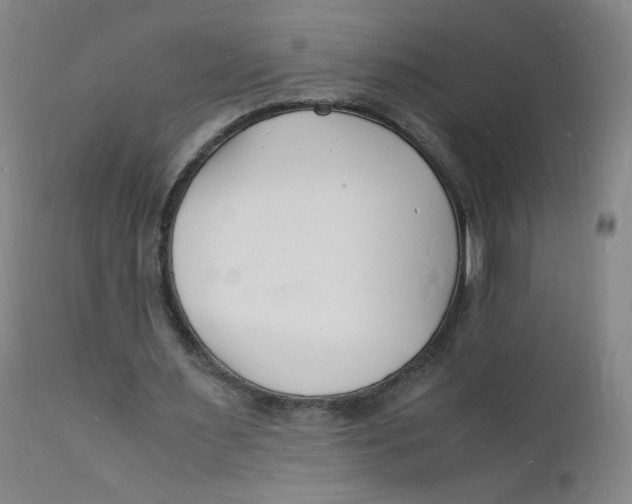 X0000112150483200909041107