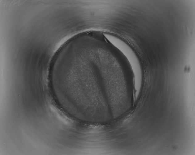 X0000112150484200909041107