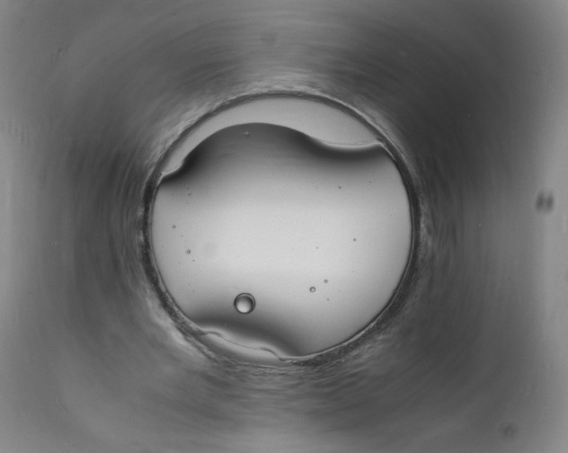 X0000112150485200909041107