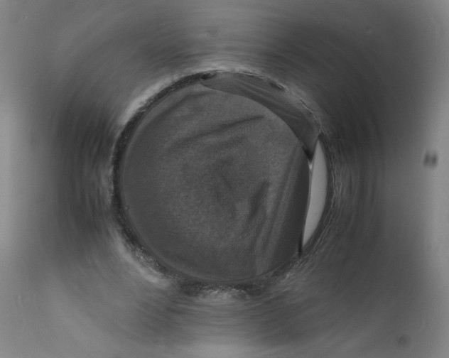 X0000112150488200909041107