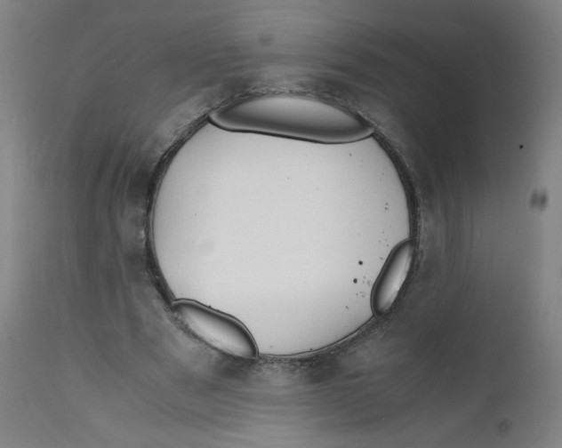 X0000112150489200909041107