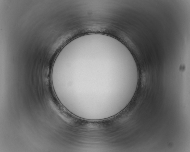 X0000112150490200909041107