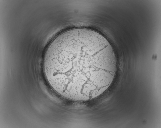 X0000112150491200909041107