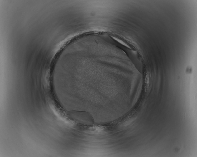 X0000112150492200909041107