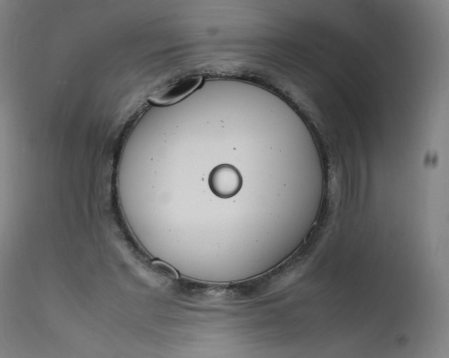 X0000112150493200909041107