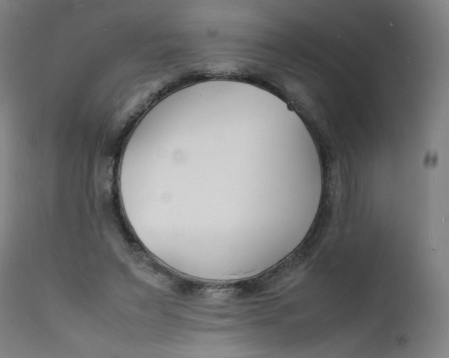 X0000112150495200909041107