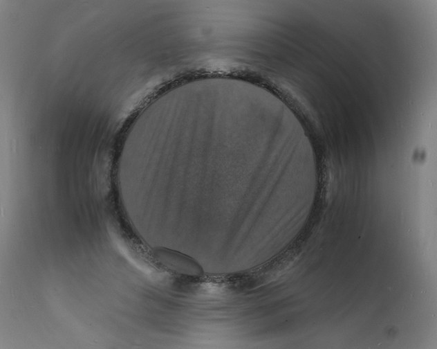 X0000112150496200909041107