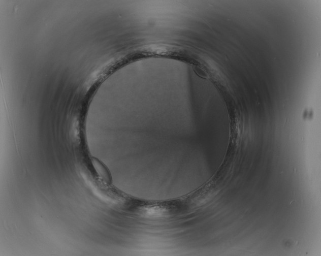 X0000112150500200909041107