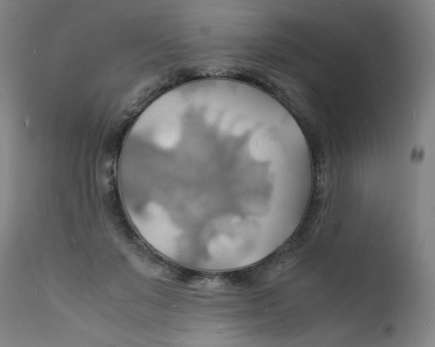 X0000112150503200909041107